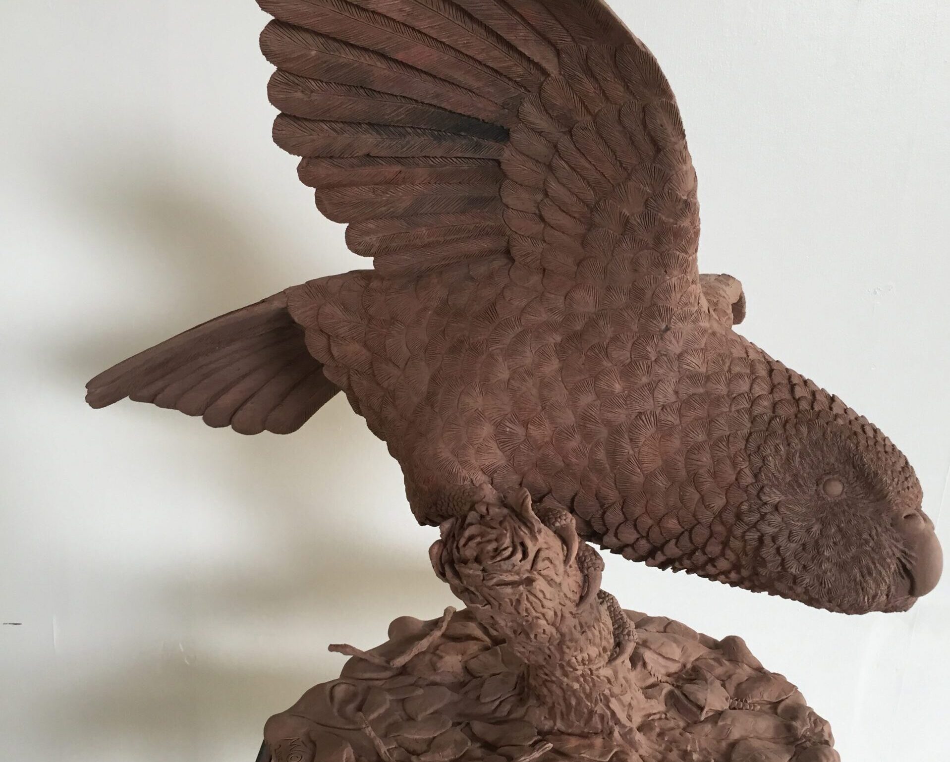 Clay NZ Kakapo Model