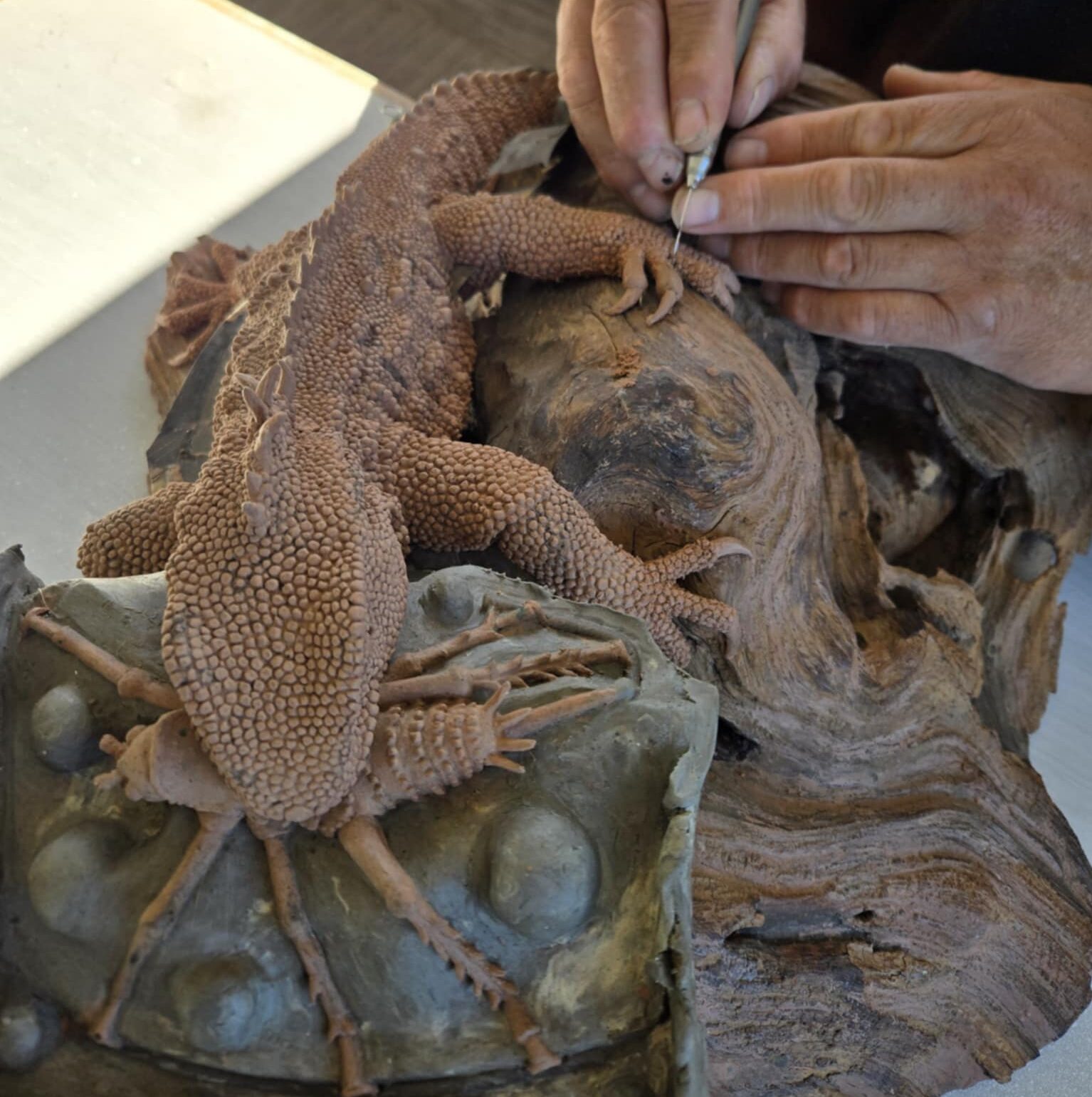 cropped-Tuatara.jpeg NZ Tuatara