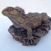 Bronze Tuatara