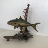 Bronze Kingfish