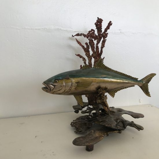 Bronze Kingfish