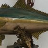 Bronze Kingfish