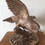 Bronze NZ Kakapo